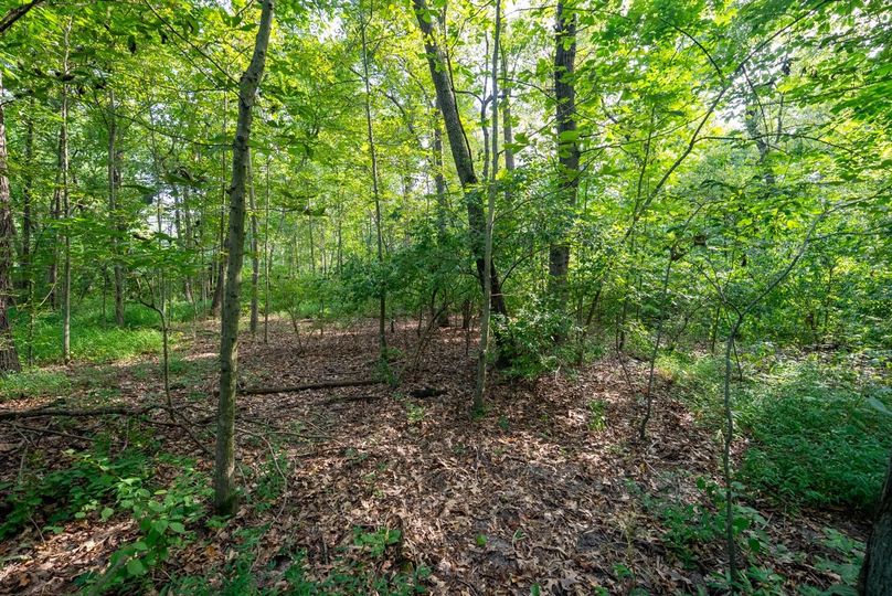 Copy of DSC06223 Large