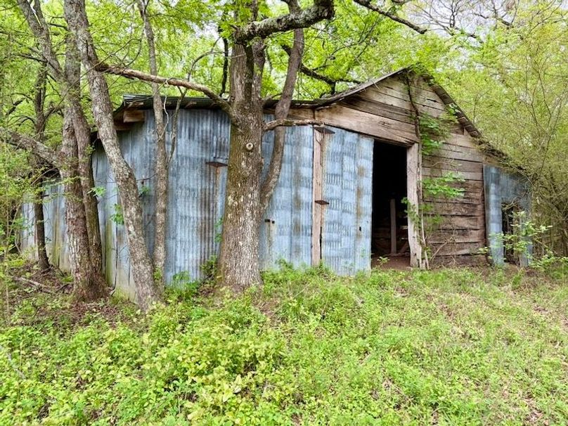 52E630A4-06EB-40E2-8BF4-5377F0D6D7D7_1_105_c