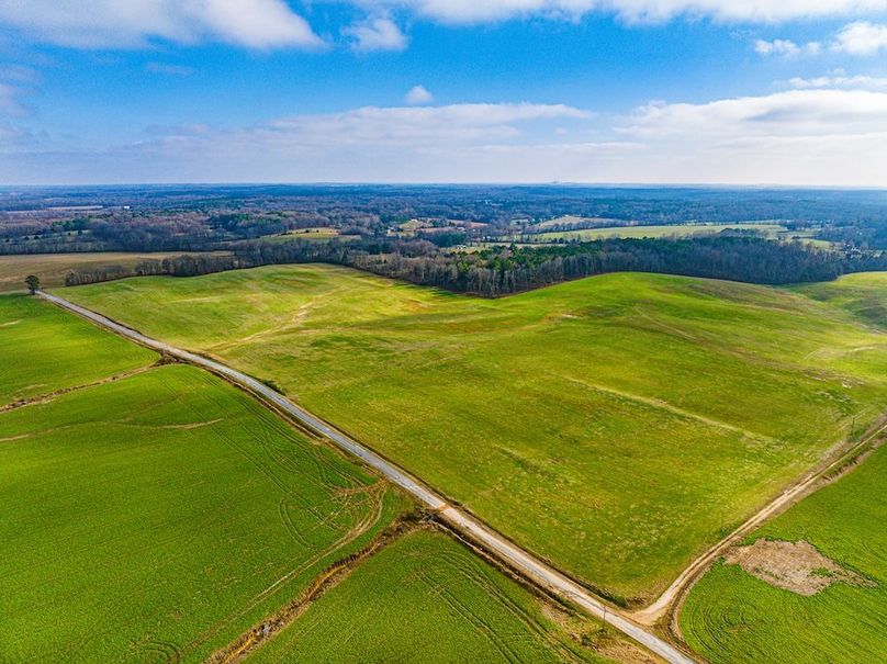 Henry 137 Miller-18-2