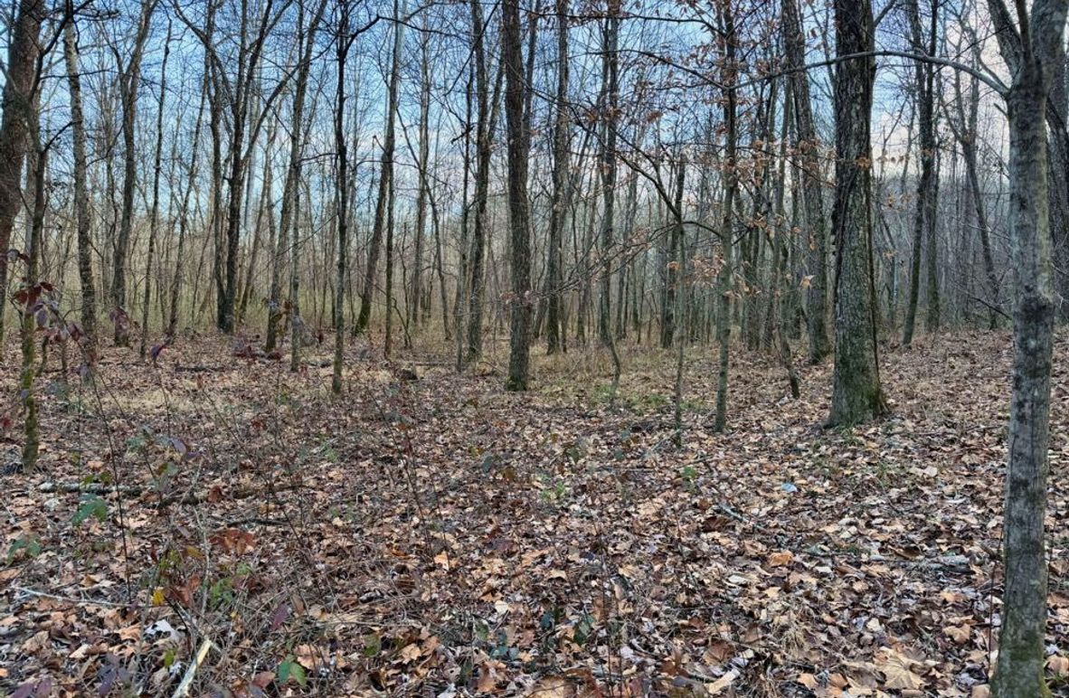 005 nice, level creek bottom ground-2