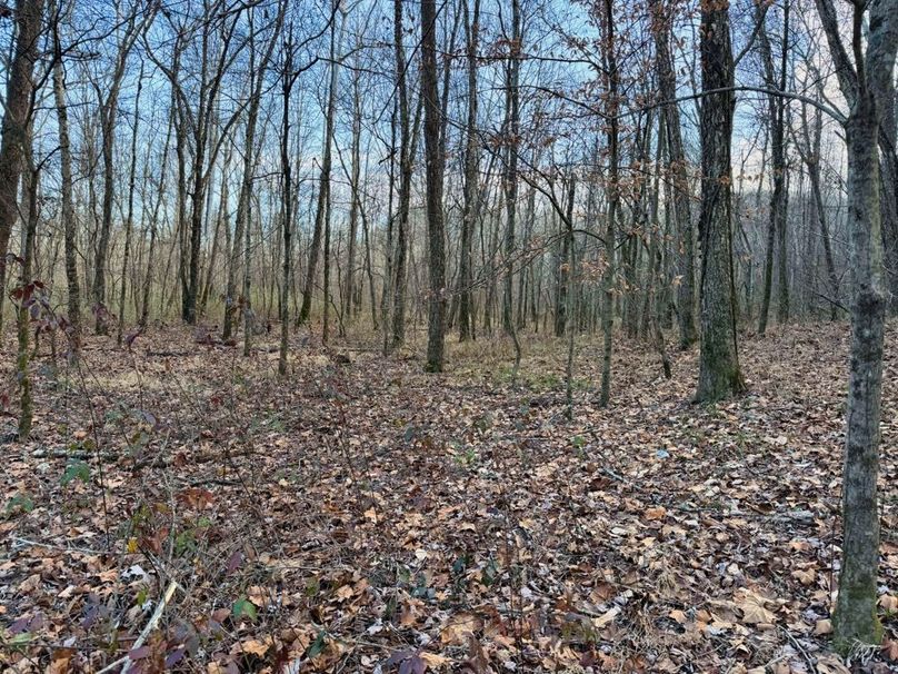 005 nice, level creek bottom ground-2