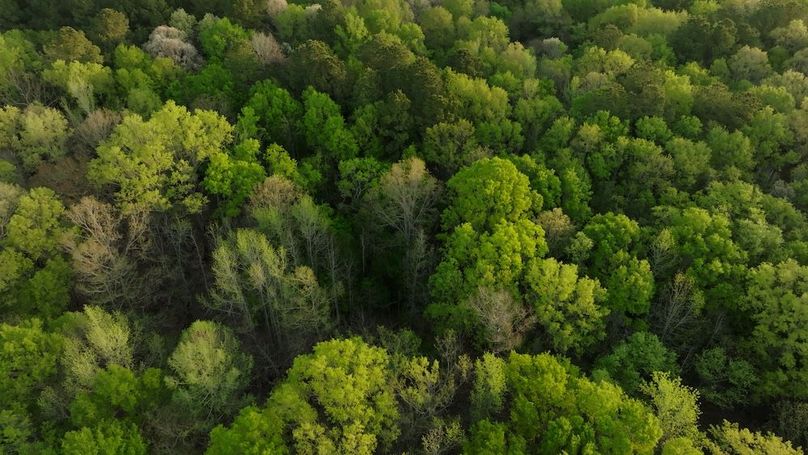 Marion TX 143 and 117 Featured_WEB.00_05_56_21.Still019