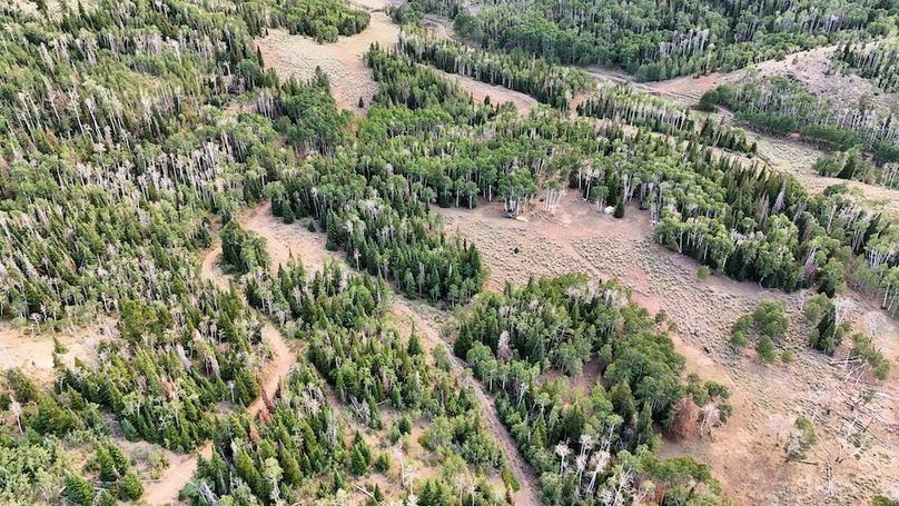 DJI_20250726174533_0149_D