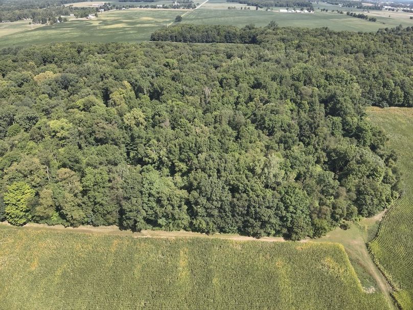 DJI_20240823235305_0007_V