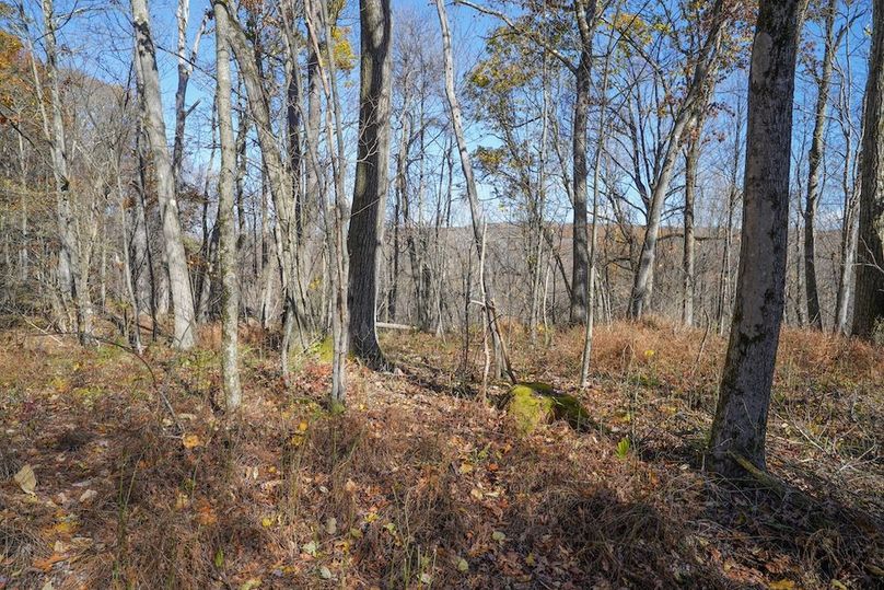 Somerset, 10.91, Tinkey-34