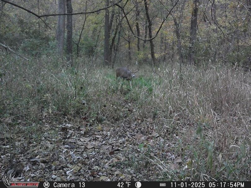 2C6691B5-23BD-4749-AC05-69C139F93F96