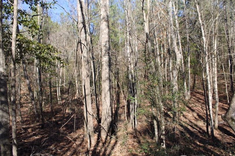 8243F853-0D82-4A60-A900-A486ABE25247_1_105_c