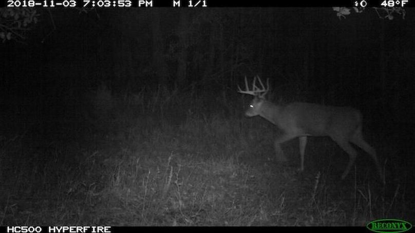 2018-11-03 19-03-53 M 1_1