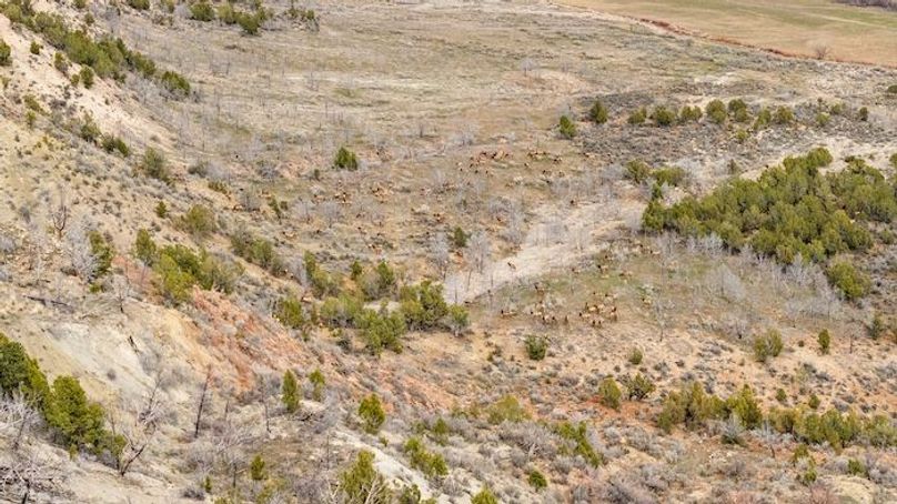 DJI_20260305134038_0266_D