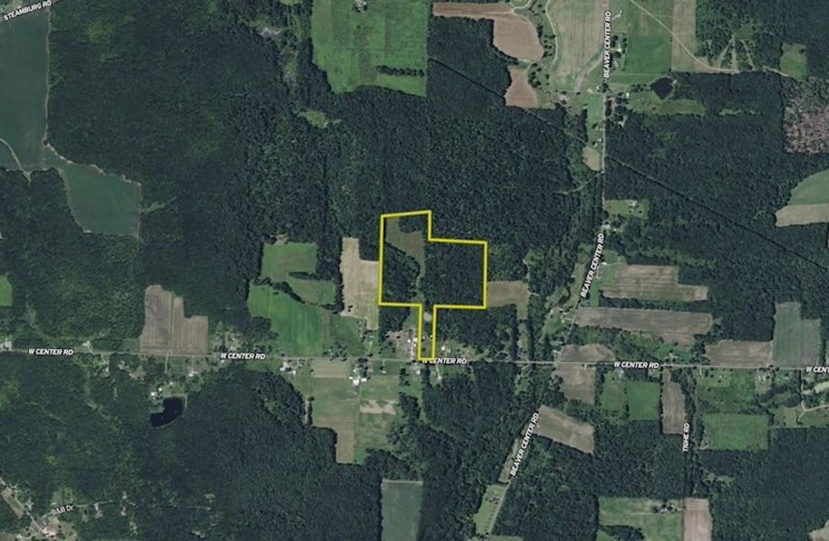 Screen Shot 2025-05-13 at 8.27.22 AM