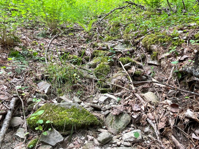 Tioga_18.72_Coulson Photo 42