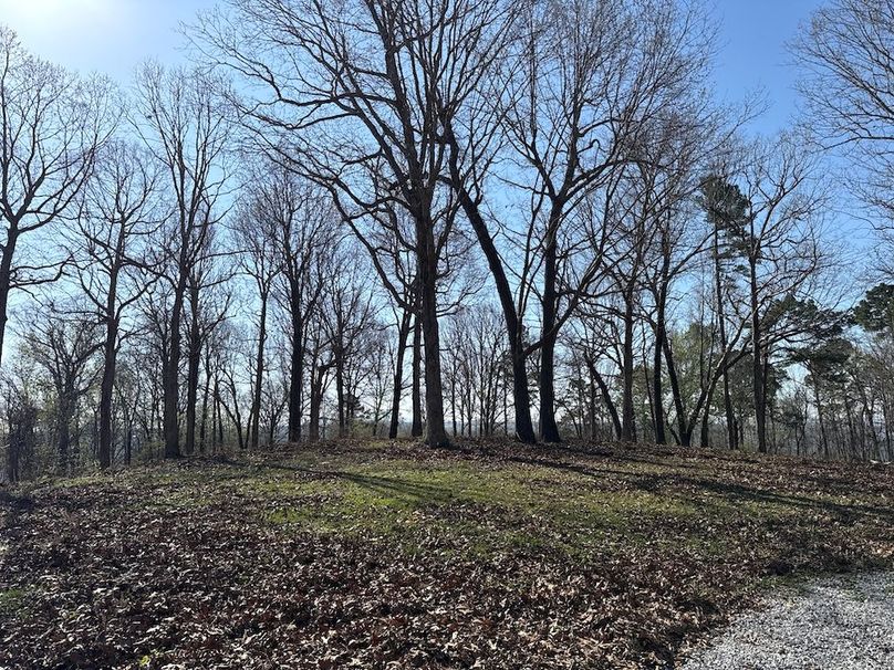 DJI_20260326_100752_759