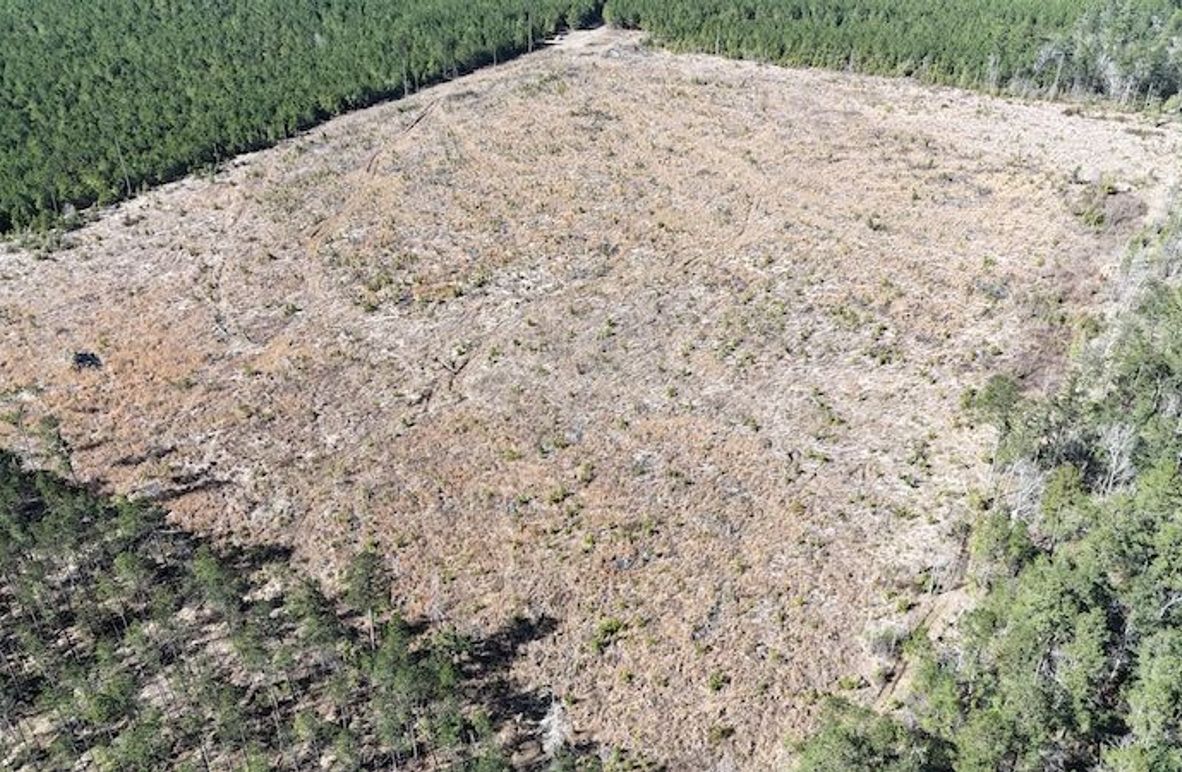 DJI_20260224035907_0400_D