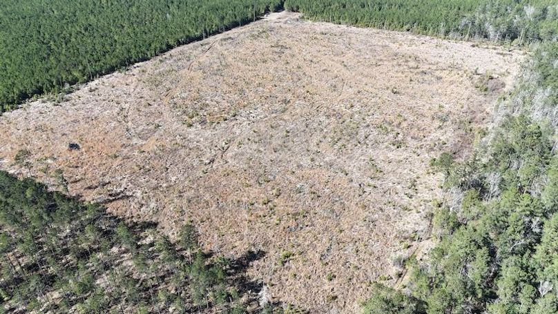 DJI_20260224035907_0400_D