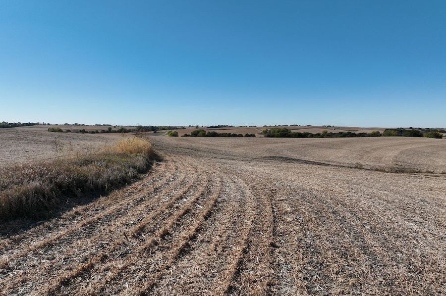 DJI_0283