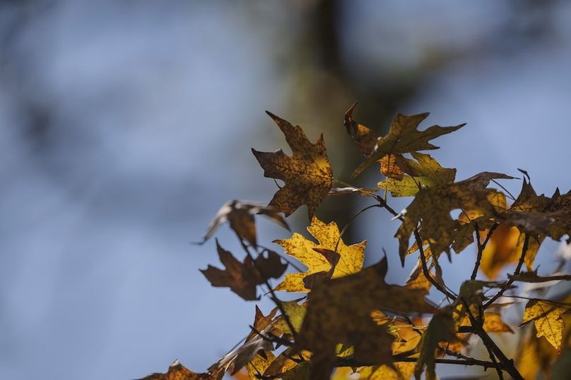 51 harrison 417ac pics-094