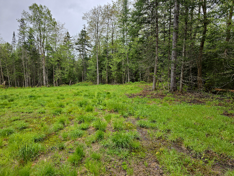 photo_fa1293d0-4a37-4fce-85ba-e48c60b205e9