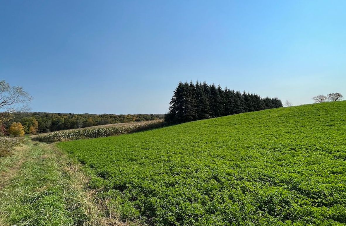 Yates_29_Stape Photo 5