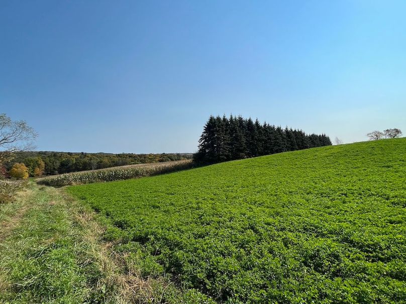 Yates_29_Stape Photo 5