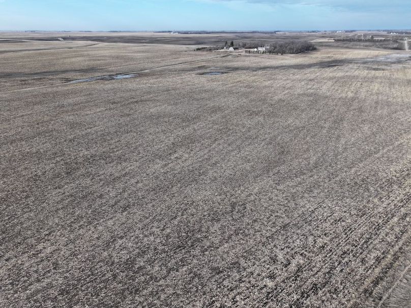 DJI_20260222123904_0015_D