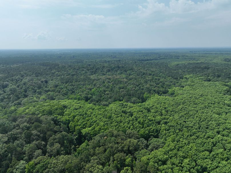 dji_fly_20230530_111354_127_1685483447819_photo