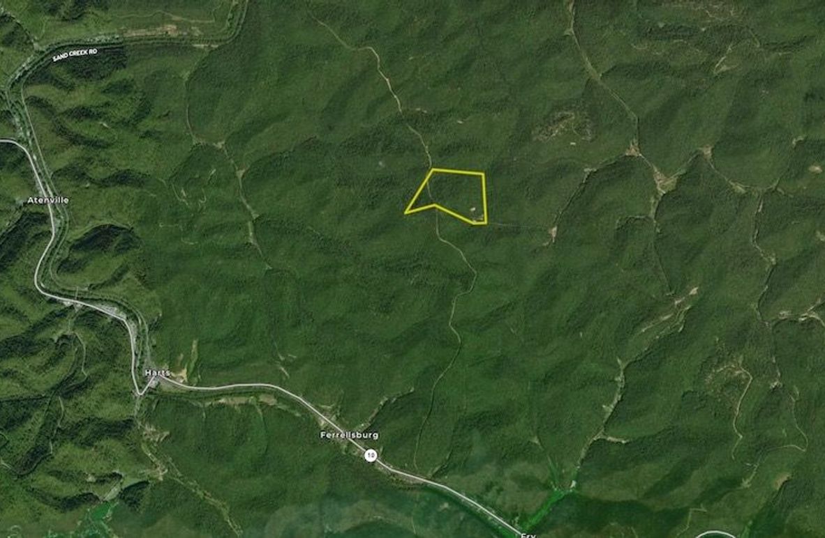 Screenshot 2025-07-10 at 11.40.17 AM