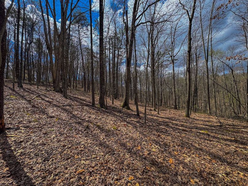Wirt, WV 62.5 AC Full-23