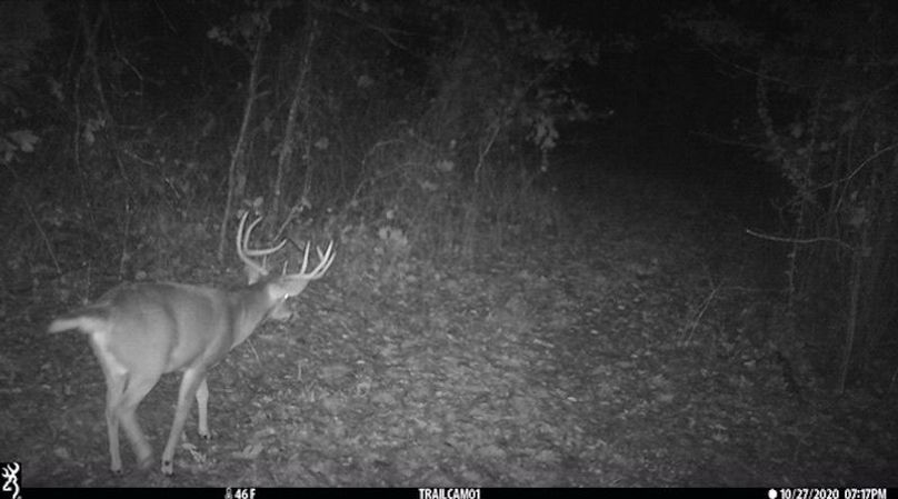 Buck 107 2
