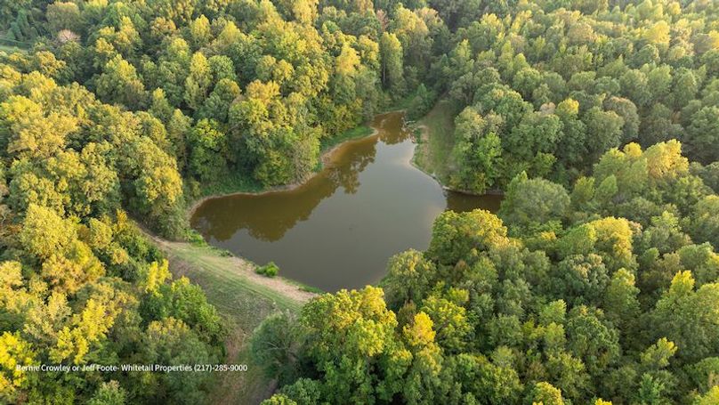 Tallahatchie 847 Messina-40