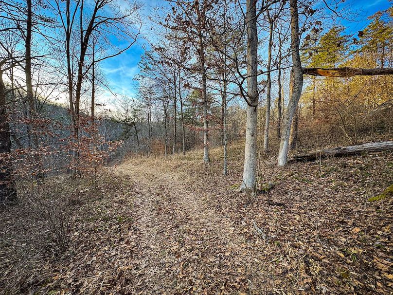 Jackson, WV 118.94 AC Shafer-091