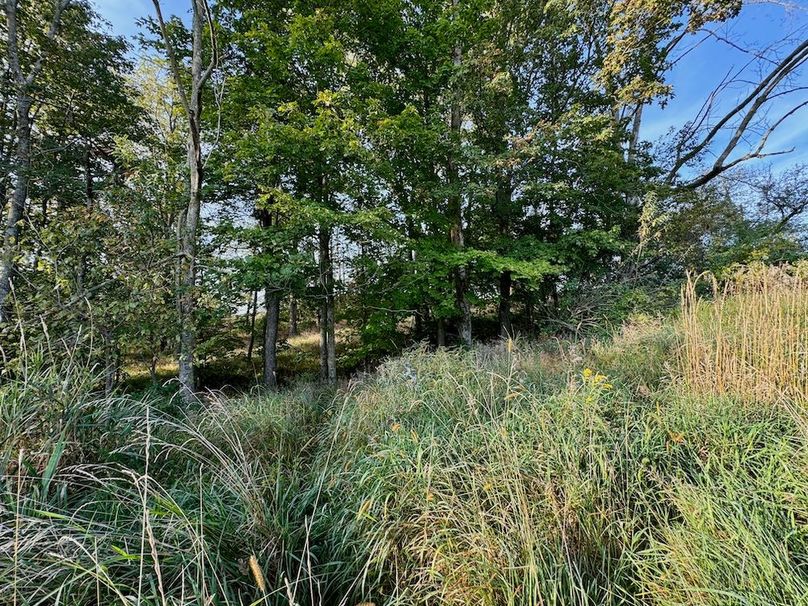 Richland 199Ground - 35