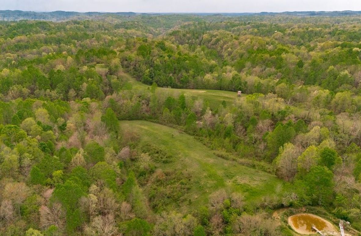 8-web-or-mls-1103 Johnny Spears Rd-5