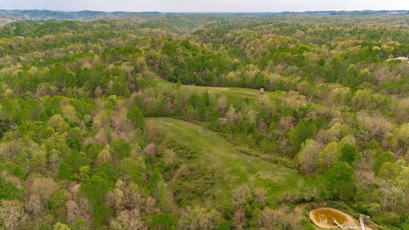 8-web-or-mls-1103 Johnny Spears Rd-5