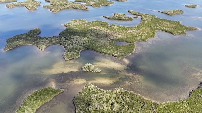 17.17ac, Citrus, Josiah Ronco11