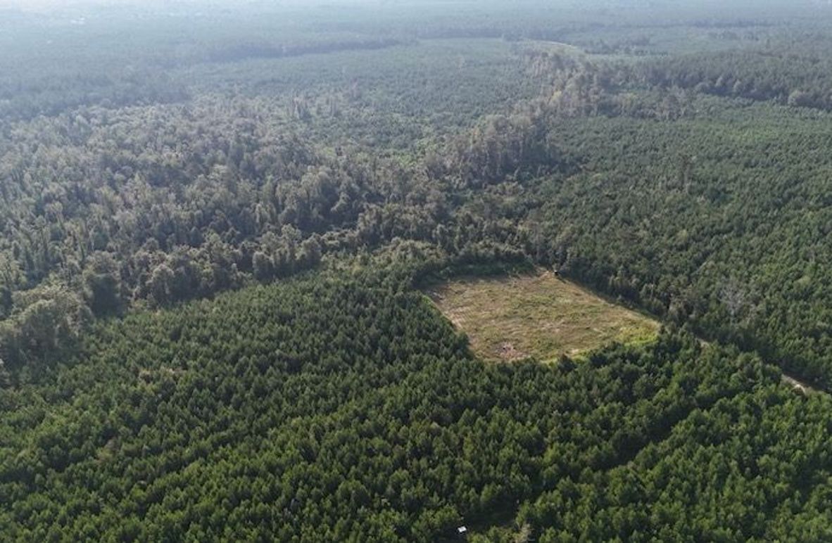 dji_fly_20250903_215828_0017_1756926957625_photo