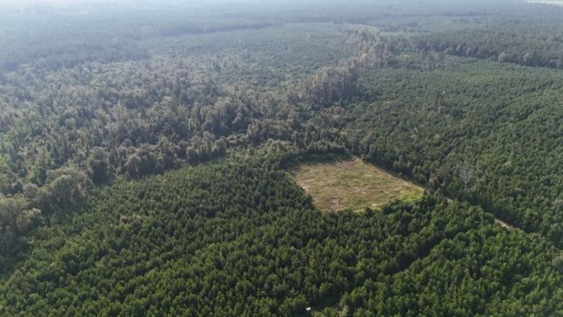 dji_fly_20250903_215828_0017_1756926957625_photo