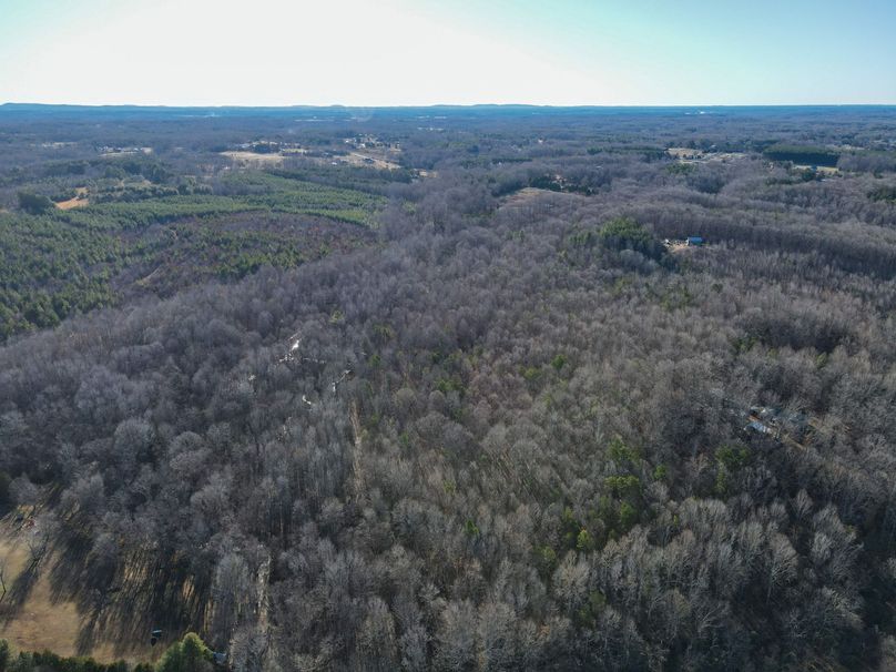 dji_fly_20240129_092314_770_1706538286484_photo