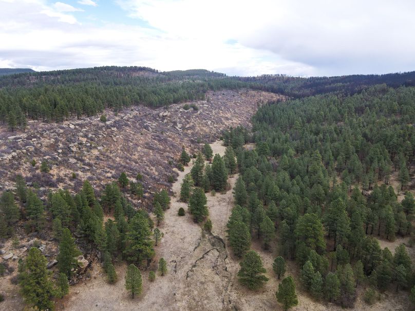 dji_fly_20230515_151824_725_1684185611733_photo