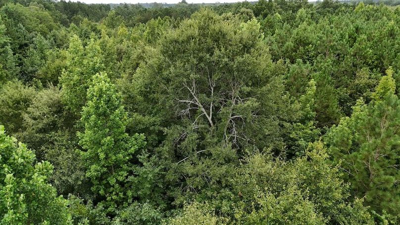 dji_fly_20250715_111034_0592_1752592275430_photo