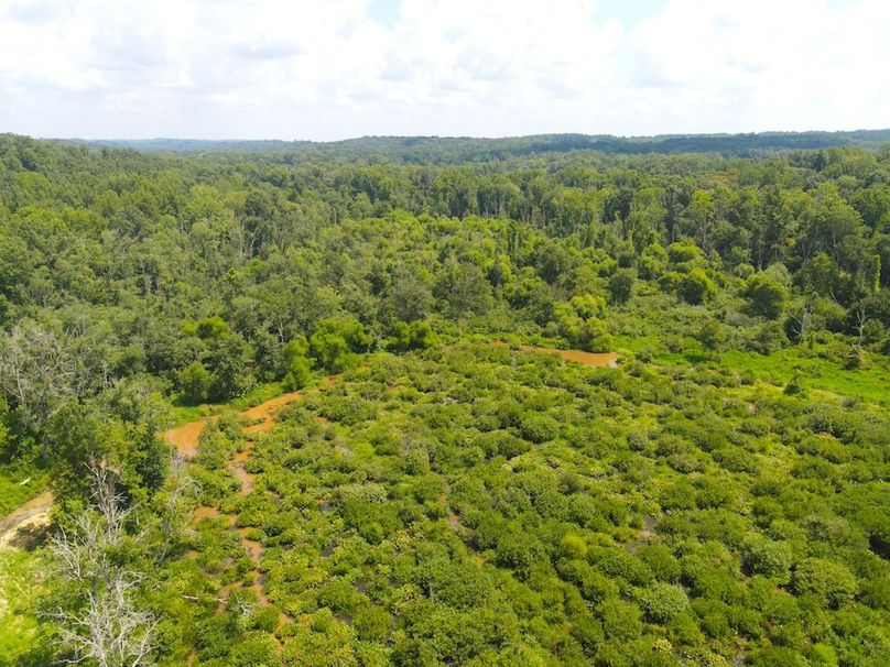 dji_fly_20250729_120040_743_1753805743693_photo