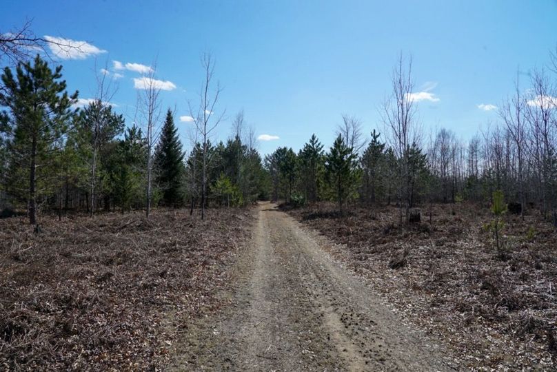DSC00550