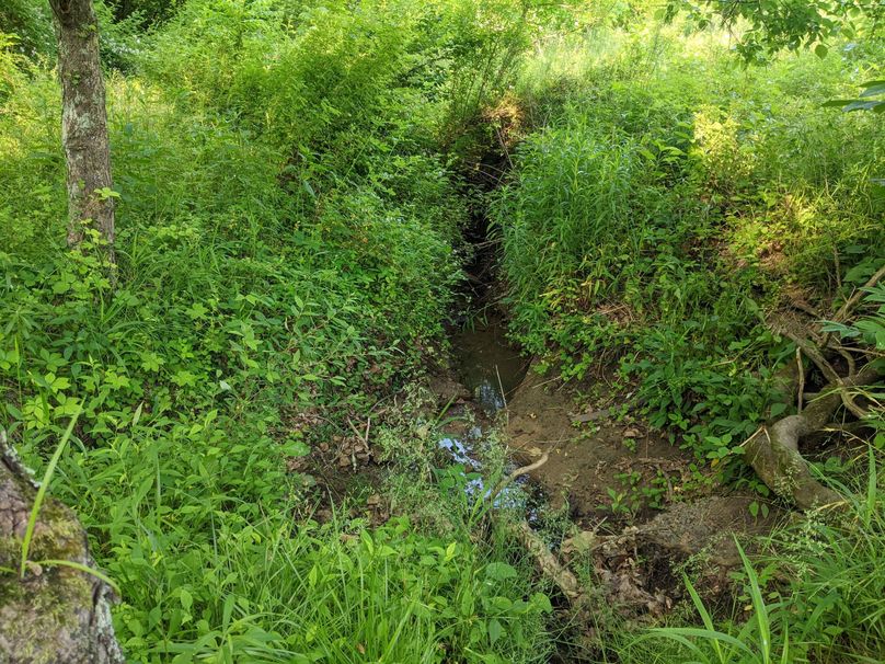 PXL_20230602_130655288