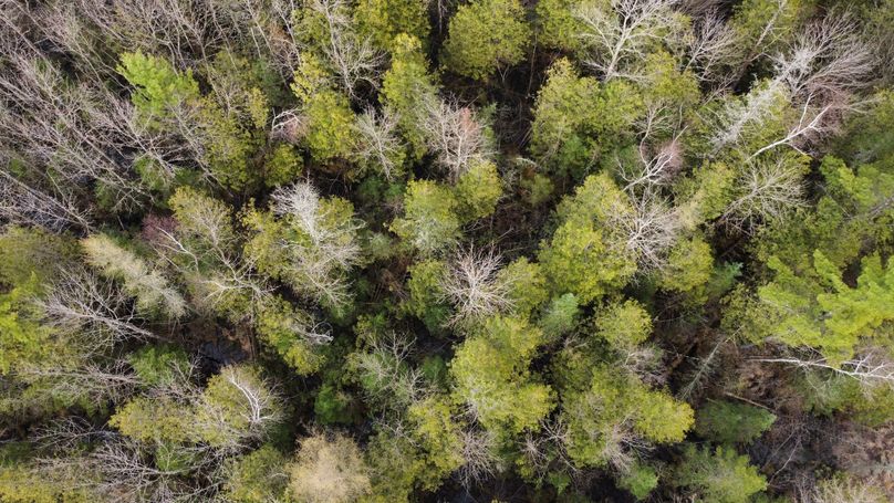 dji_fly_20230504_164722_399_1683236965018_photo_optimized