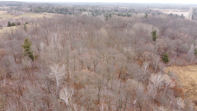 dji_fly_20231206_102032_189_1701879793292_photo_optimized