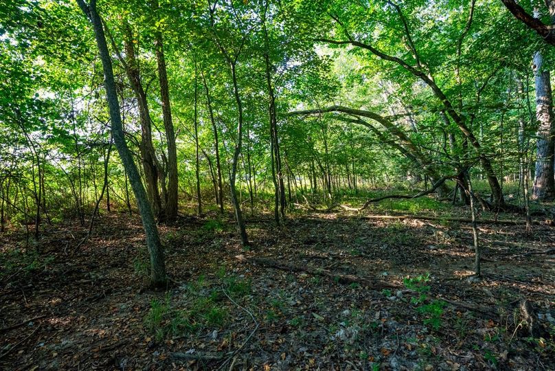 Copy of DSC06170 Large