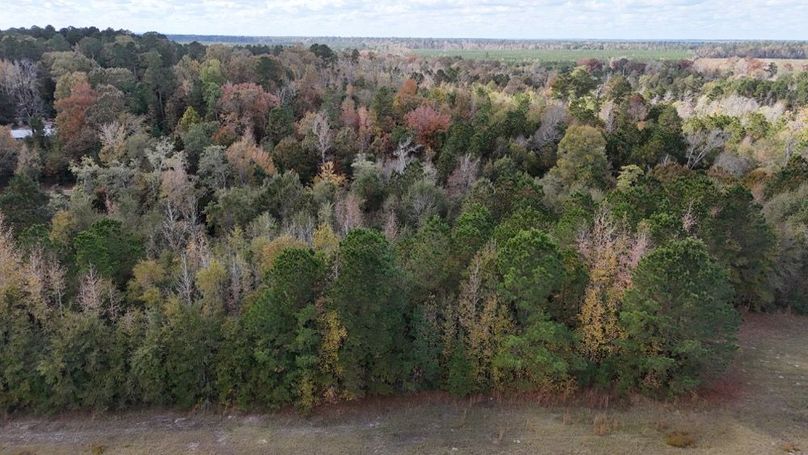 DJI_20251115022354_0887_D