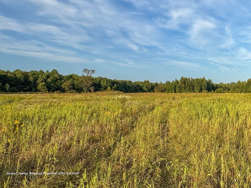 DeSoto 329 Prewett (Thompson) -30