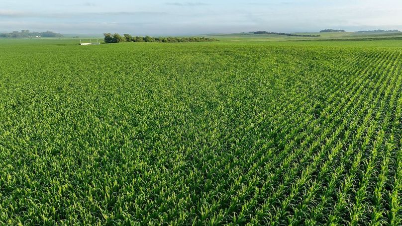 Copy of Copy of DJI_0390