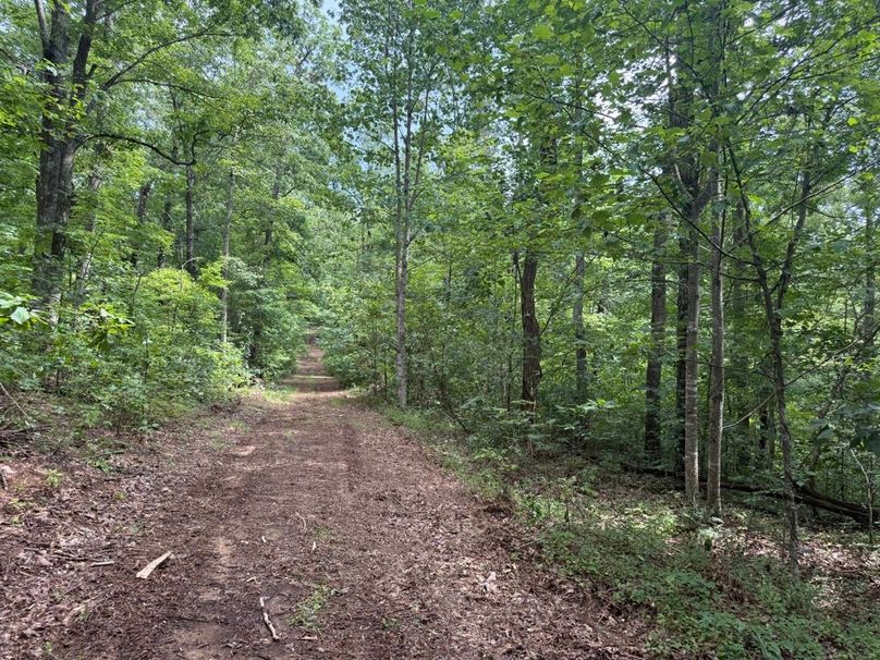 011 internal trail road near the middle of the property