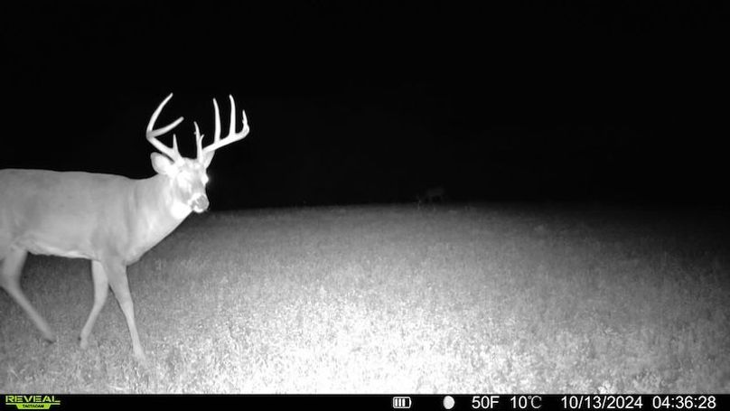 TRAIL CAM 13